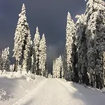 Bohemia