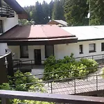 酒店 Bohemia Železná Ruda