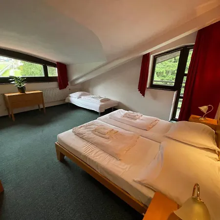 Bohemia Železná Ruda