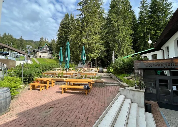 Отель Bohemia